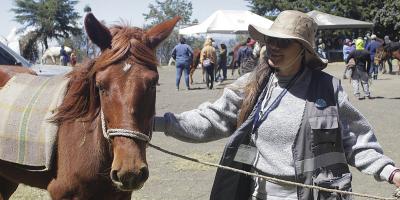 Por un trato digno y responsable hacia los animales
