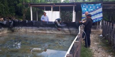Productores de Panzós fortalecen conocimientos en tecnología acuícola 