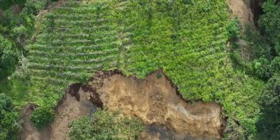 Resiliencia agrícola con monitoreo de drones y evaluación climática