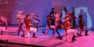Ballet Nacional de Guatemala “Christa Mertins”