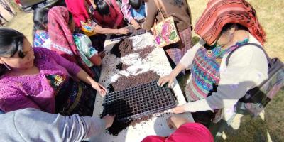 Agricultores de Quetzaltenango se tecnifican en agricultura protegida para mejorar sus cultivos