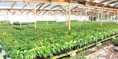 Ante bajas temperaturas y posibles heladas son monitoreados 173 municipios