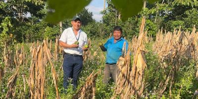 Brindan asistencia técnica a productores de Retalhuleu para fortalecer sus cultivos