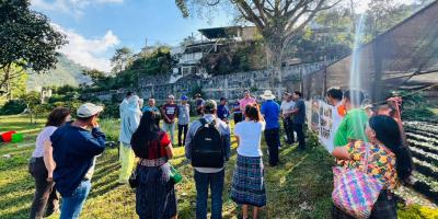 Caficultores de San Lucas Tolimán conocen la normativa europea
