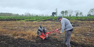 Capacitan a productor en el cultivo de tomate