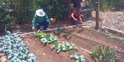 Conozca los requisitos para ser elegible al programa Alimentos por Acciones