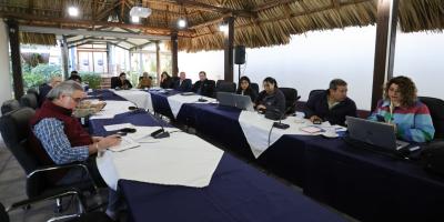 Consolidan estrategia sanitaria frente a la influenza aviar