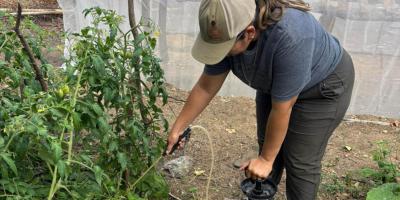 Familias zacapanecas fortalecen su economía con asistencia técnica en biofábricas y cultivos