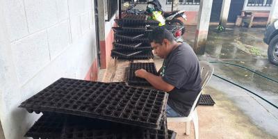 Fortalecen producción de pilones de hortalizas