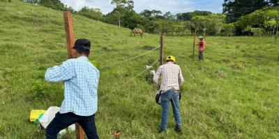 Ganadería sostenible llega a 130 fincas de Petén en 2025