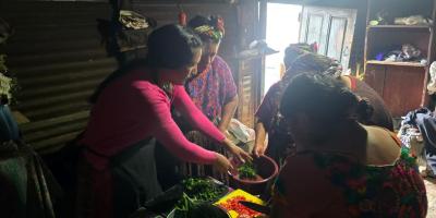 Hortalizas locales fortalecen nutrición de familias quetzaltecas