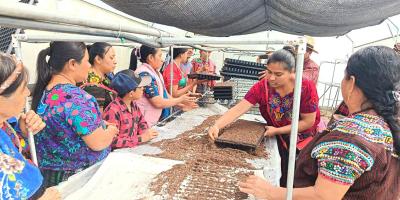 Incentivan la producción de hortalizas en comunidades rurales