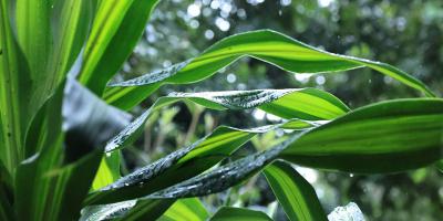 Lluvias, bajas temperaturas y vientos fuertes afectan mayor parte del país