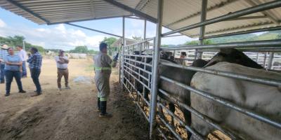 Monitorean 209 municipios ante bajas temperaturas y vientos fuertes