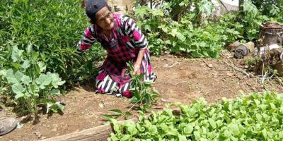 Producción en patio mejora economía de familias rurales