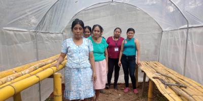 Productores de Zacapa reciben apoyo con estructuras para piloneras