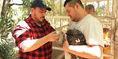 Recomendaciones para la protección pecuaria por las bajas temperaturas