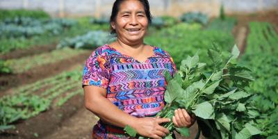 Plantas nativas: base de la agricultura familiar y la seguridad alimentaria