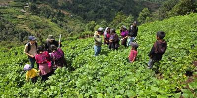 La voz del agricultor como eje de la innovación