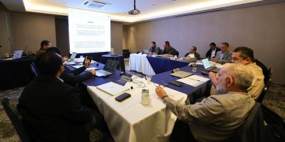 Analizan emitir declaración conjunta ante riesgos fitosanitarios