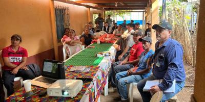 Apuestan por la tilapia para mejorar su alimentación y generar ingresos