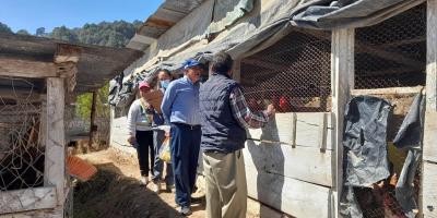 Aseguran calidad de productos avícolas para la alimentación escolar en Tejutla