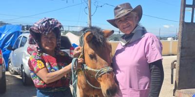 Brindan atención veterinaria a animales de trabajo