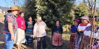 Buenas prácticas agrícolas fortalecen frutales de productores de Salcajá 