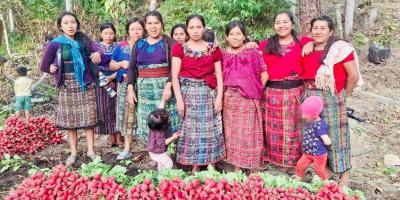 Cosechas de huertos familiares fortalecen seguridad alimentaria en Baja Verapaz 