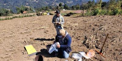 En marcha levantamiento de muestras de suelo en San Marcos para elaborar mapa de fertilidad