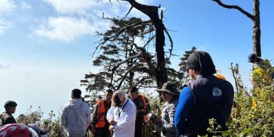 Evalúan regeneración vegetal y brechas cortafuego en zonas vulnerables de Suchitepéquez