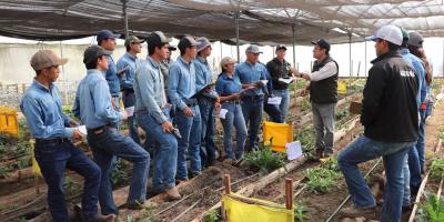 Fortalecen formación de estudiantes para el desarrollo de los sectores forestal y agrícola