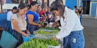 Huertos familiares escalonados fortalecen seguridad alimentaria familiar