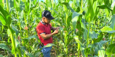 Identifican daños por humedad y bajas temperaturas