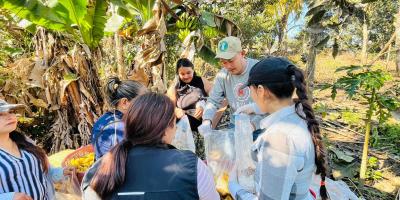 Impulsan el cultivo de hongo ostra en comunidades de Baja Verapaz