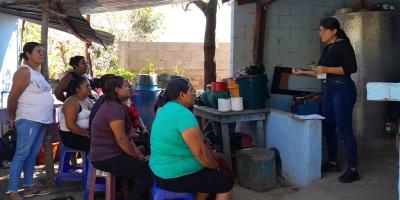 Impulsan el cultivo de plantas nativas y uso de composta orgánica