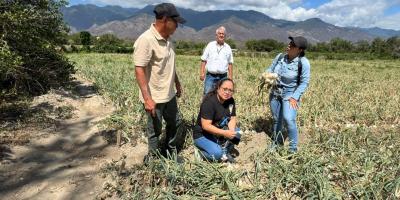 Impulsan el desarrollo rural con asistencia para agricultores de Chispan