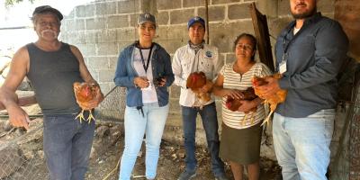 Impulsan la sanidad avícola en Jutiapa con jornada de inmunización