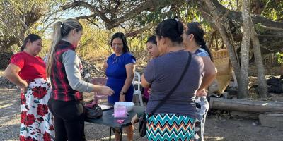 Mejoran sanidad avícola con insumos naturales