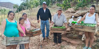 Mejoran seguridad alimentaria al diversificar cultivos en Conguaco