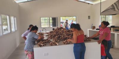 Mujeres impulsan emprendimiento con producción de yuca