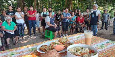 Optimizan la seguridad alimentaria con técnicas de transformación de camote
