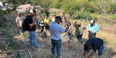 Prácticas agrícolas sostenibles protegen recursos naturales en Río Hondo