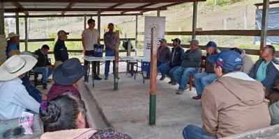 Productores de Quiché fortalecen capacidades para mejorar competitividad agropecuaria