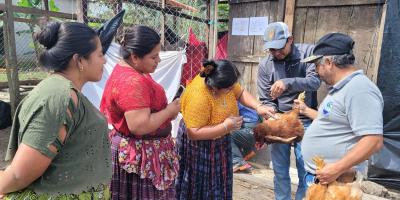 Realizan jornadas de vacunación pecuaria en Poptún