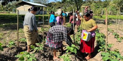 Semillas que se transforman en oportunidades para mujeres de Ixcán