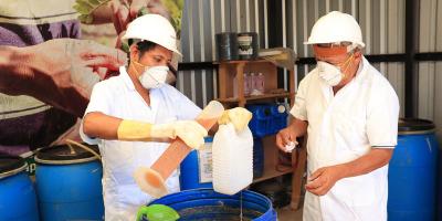 Uso de abonos orgánicos fortalece la producción agrícola familiar