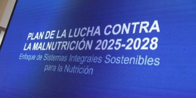 Plan de la Lucha contra la Malnutrición 2025–2028 orienta acciones integrales del Estado