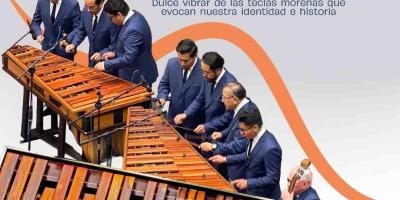 Celebramos los latidos de hormigo