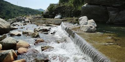Impulsan acciones para la protección del agua y la restauración de cuencas